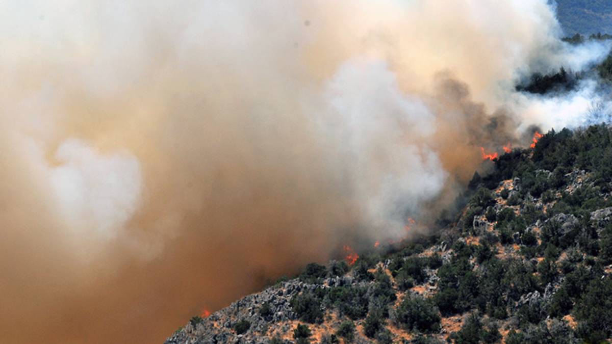 Φωτιά στον Ελαιώνα – Βρίσκεται κοντά στο hot spot μεταναστών