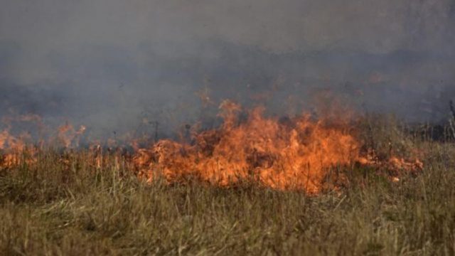 Τραγωδία στα Φάρσαλα: Έβαλε φωτιά σε ξερά χόρτα και απανθρακώθηκε