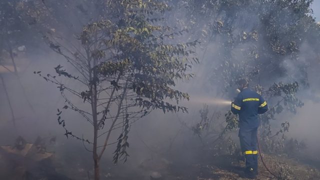 Φωτιά στον Κάλαμο – Ενεργό μέτωπο και στην Πάρνηθα