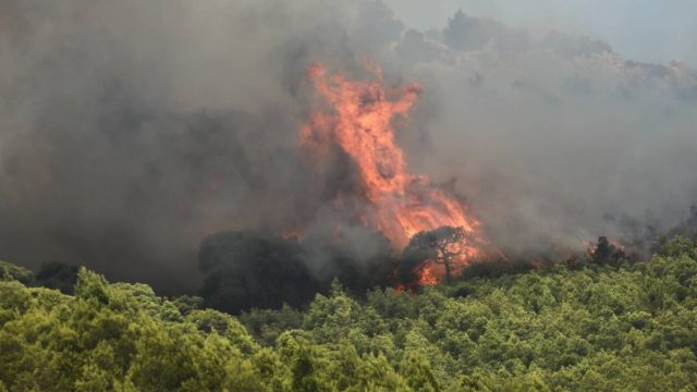 Φωτιά στην Κάρυστο