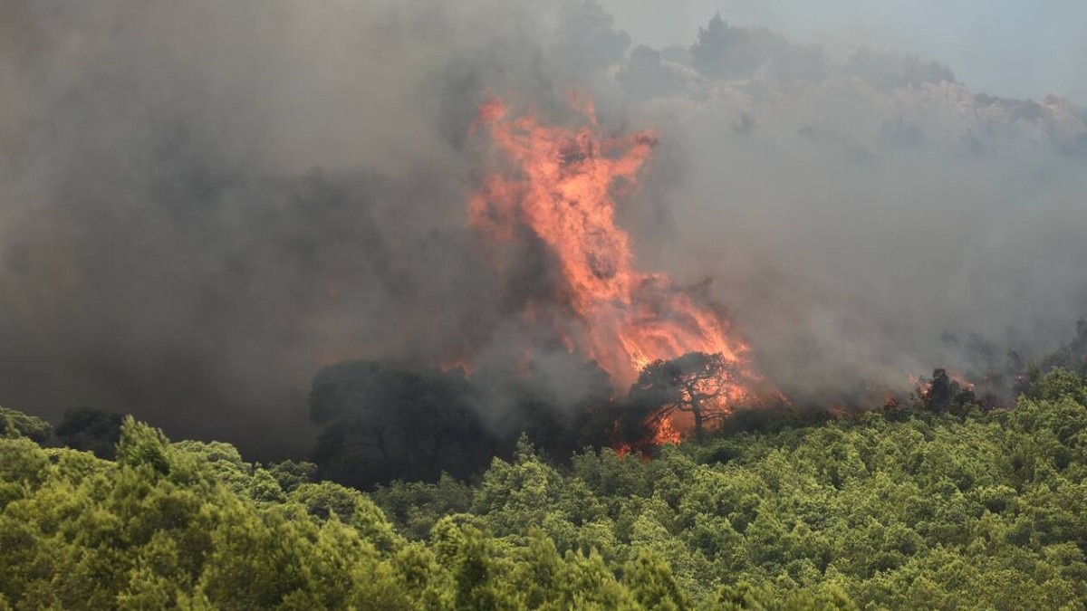 Φωτιά στην Κάρυστο