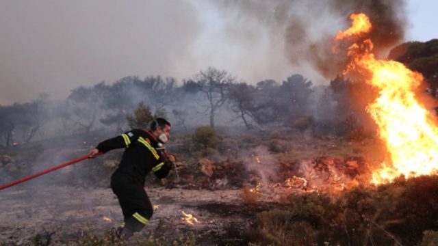 Φωτιά στο Μαραθώνα – Πνέουν ισχυροί άνεμοι