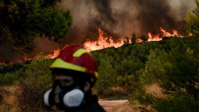 Φωτιά στη Ροδόπη: Επιχειρούν επίγεια και εναέρια μέσα