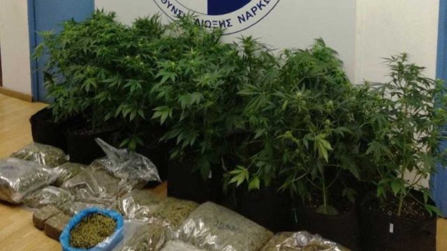 Θεσσαλονίκη: Συνέλαβαν 32χρονο για διακίνηση ενός τόνου κάνναβης!