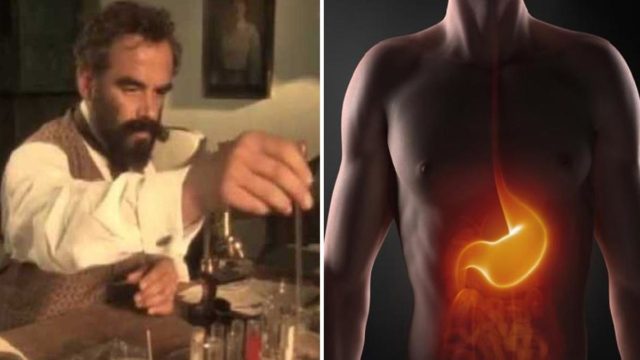 «Ο θάνατος του ανθρώπου αρχίζει από το στομάχι – Πώς θα καταλάβετε ότι κάτι δεν πάει καλά»