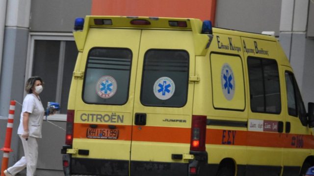 Σοκ στην Κοζάνη: 69χρονη πέθανε από τσίμπημα μέλισσας – Τι συνέβη
