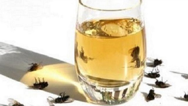 Εξαφανίστε τις μύγες από το σπίτι σας, με αυτή τη σπιτική συνταγή