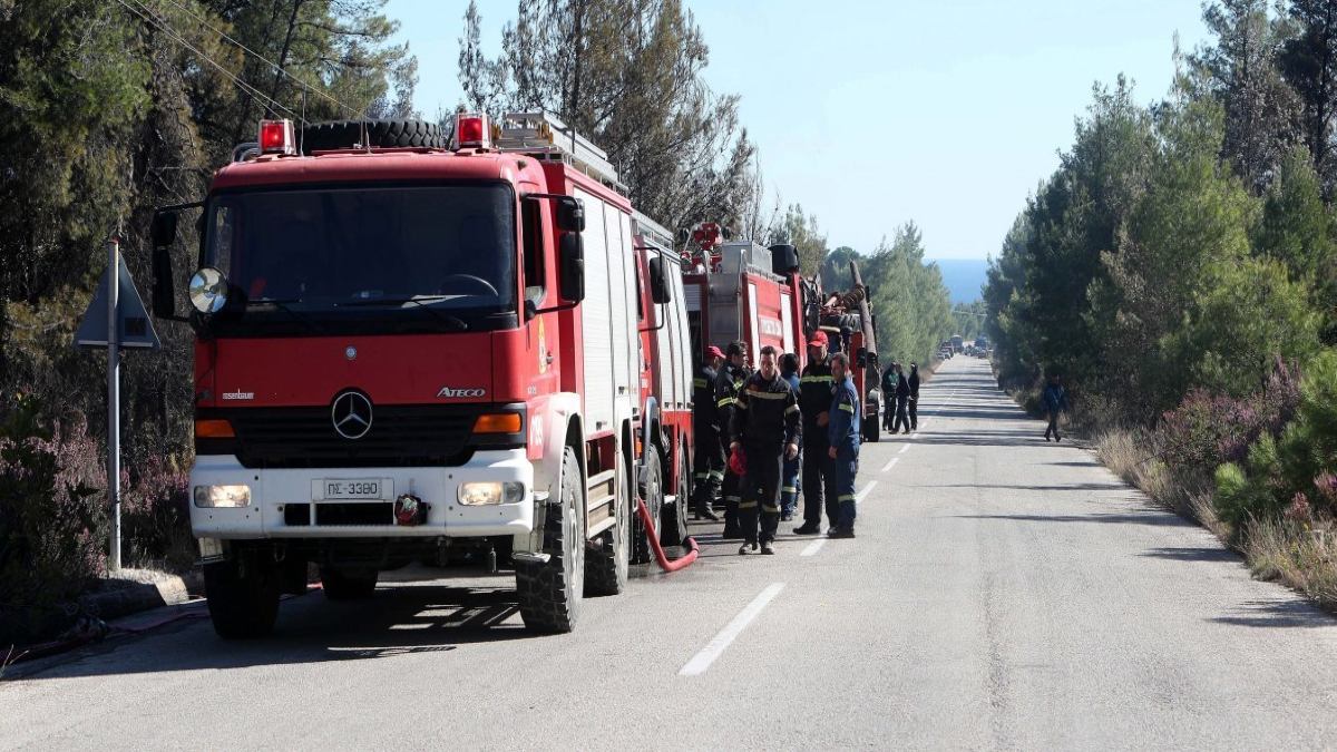 Συναγερμός στην Πυροσβεστική! Πυρκαγιά σε δρυοδάσος στον Έβρο