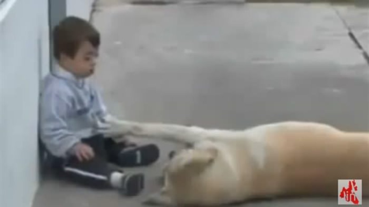 Σκύλος πλησιάζει παιδάκι με σύνδρομο Down και… (Video)