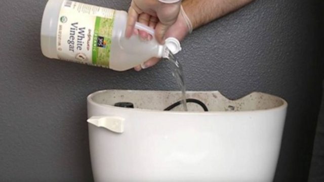 Στην αρχή δεν καταλάβαμε γιατί έριξε ξύδι μέσα στο καζανάκι, όταν όμως είδαμε το αποτέλεσμα…