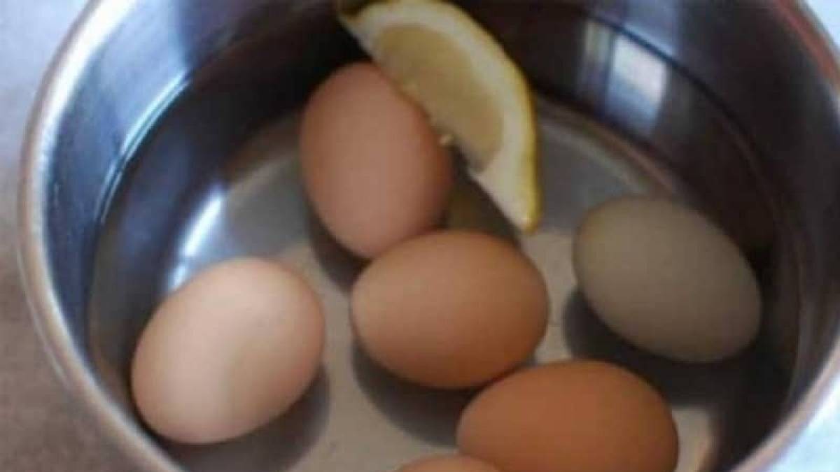 Βράζει αυγά και ρίχνει μέσα μια φέτα λεμόνι – Ο λόγος; Πανέξυπνος!