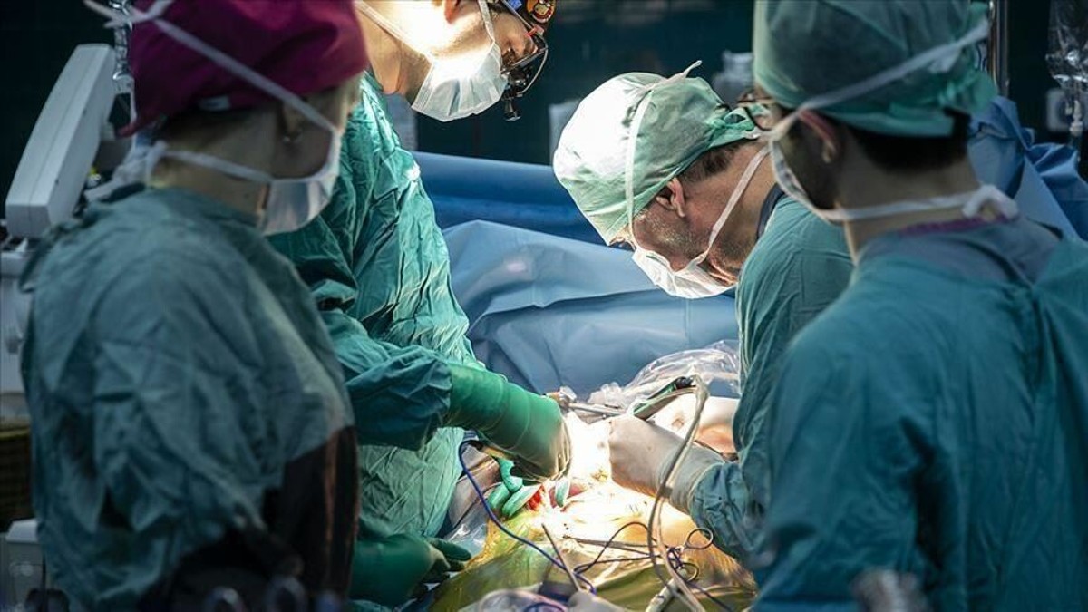 Απίστευτο: Χειρουργοί συνέδεσαν με επιτυχία σε άνθρωπο νεφρό από χοίρο