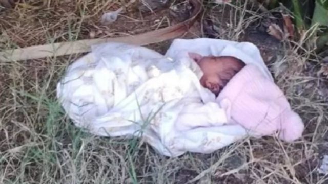 Σκύλος – ήρωας έσωσε μωράκι που το εγκατέλειψε η μαμά του στο πάρκο