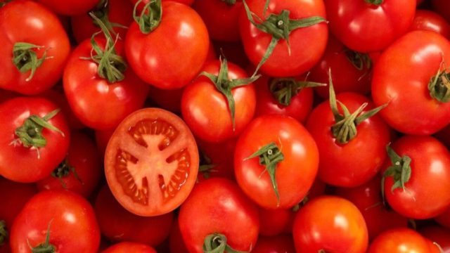 Δείτε τι κάνουμε λάθος και χάνει η ντομάτα την αντικαρκινική της δράση!