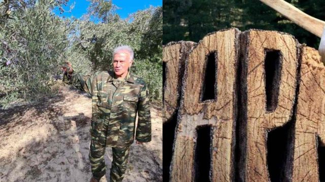 Σταματήστε ό,τι κάνετε: Ο Παναγιώτης Ψωμιάδης μπαίνει στην «Φάρμα»!