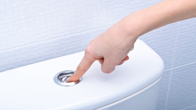 Αυτά είναι τα πιο παράξενα πράγματα που πετάνε οι άνθρωποι στην τουαλέτα (video)