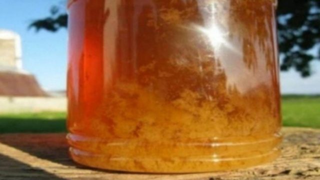 Μεγάλη προσοχή: Αυτό σημαίνει όταν κρυσταλλώνει το μέλι!
