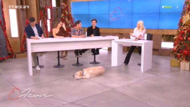 Έμεινε «κάγκελο» η Ελένη Μενεγάκη με την ατάκα του Δημήτρη Ουγγαρέζου: «Είμαι σε δύσκολη ηλικία…»