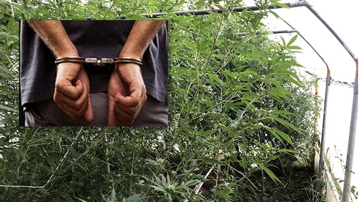 Καστοριά: Σοκ με τη σύλληψη δύο αλλοδαπών-Μετέφεραν 43 κιλά κάνναβης
