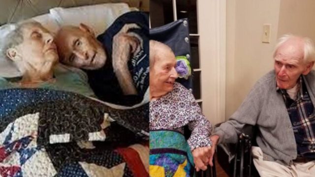 Με αυτή την ιστορία αγάπης δεν θα σταματήσετε να κλαίτε