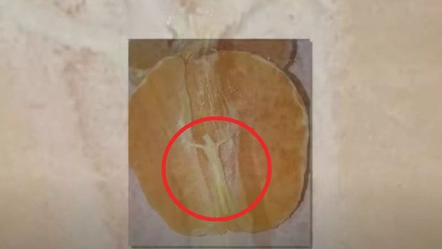 Έρχεται η Δευτέρα Παρουσία; Γυναίκα βρήκε εσταυρωμένο Χριστό σε μανταρίνι (Βίντεο σοκ)