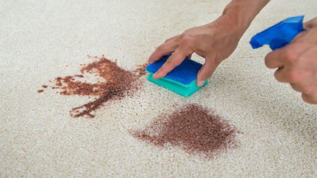 Λεκές στο χαλί; Μην πανικοβάλλεστε με αυτό το υλικό θα εξαφανιστεί στο άψε σβήσε