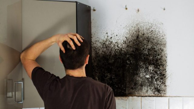 Μούχλα στο σπίτι; Το μοιραίο λάθος που κάνουμε και δεν φεύγει