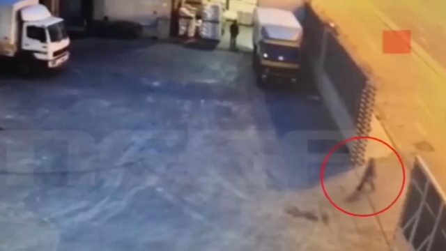 Κερατσίνι – Σοκάρει ο δικηγόρος της οικογένειας: «Η Όλγα μπορούσε να σωθεί»