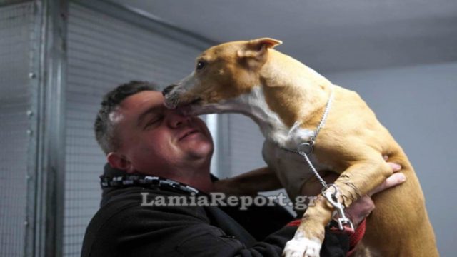 Ένας ήρωας στη Λαμία: Κινδύνεψε να πνιγεί στις πλημμύρες για να σώσει 35 σκυλάκια (Βίντεο)
