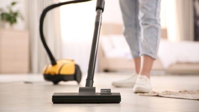 Αυτά τα ζώδια είναι εμμονικά με την καθαριότητα