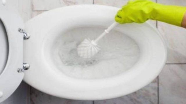 Ρίχνει υγρό σαπούνι πιάτων στην τουαλέτα. Ο λόγος; Θα αλλάξει τα πάντα!