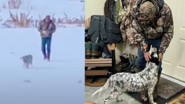 Ρίγη συγκίνησης: Άντρας ξεσπά σε κλάματα όταν βρίσκει μετά από καιρό τον σκύλο του που χάθηκε στο χιόνι (video)