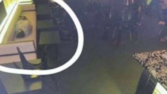 Το αφεντικό τον έπιασε να κοιμάται στη δουλειά! Η αντίδρασή όταν τον είδε από την κρυφή κάμερα θα σας σοκάρει
