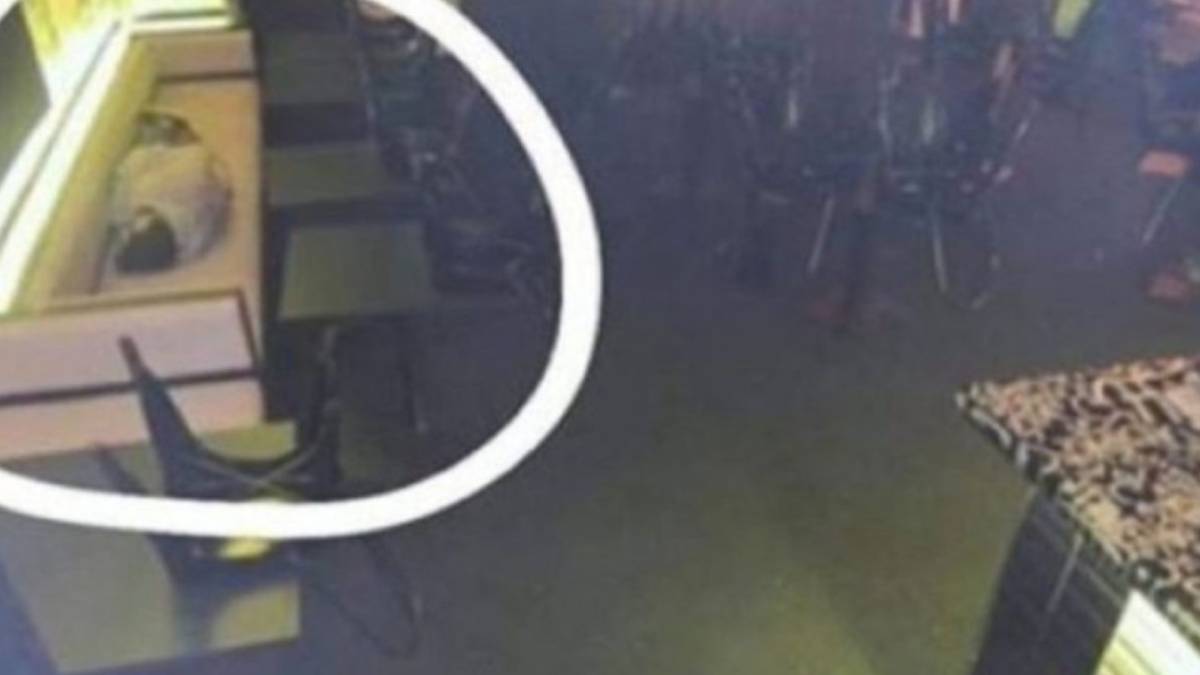 Το αφεντικό τον έπιασε να κοιμάται στη δουλειά! Η αντίδρασή όταν τον είδε από την κρυφή κάμερα θα σας σοκάρει