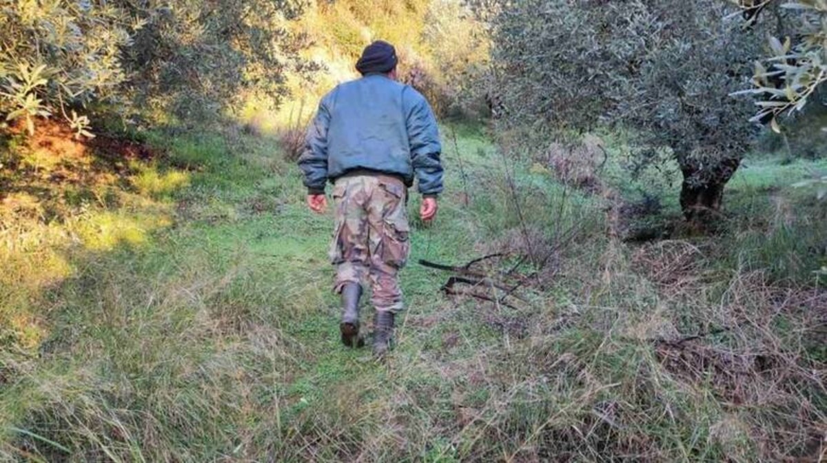 Άρτα: Στο νοσοκομείο η έγκυος μητέρα του 16χρονου που σκότωσε τον θείο του – Σοκάρουν οι λεπτομέρειες
