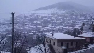 Η φωτογραφία της ημέρας: “Σαρώνει” τη χώρα ο Διομήδης