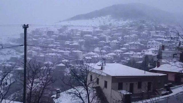 Η φωτογραφία της ημέρας: “Σαρώνει” τη χώρα ο Διομήδης