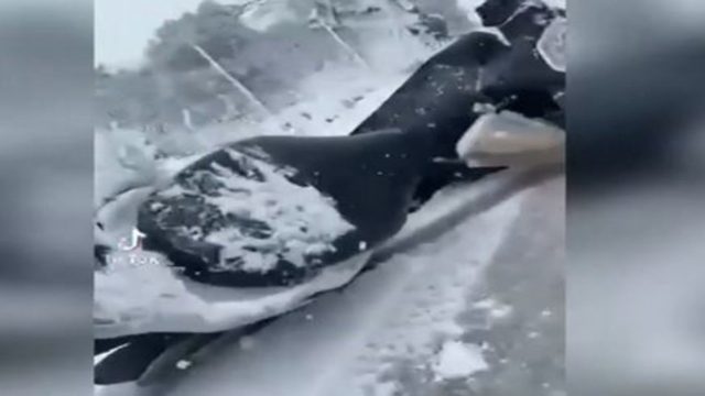 Κακοκαιρία “Ελπίδα”: Ντελιβεράς-ήρωας μέσα στο χιόνι γίνεται viral – «Είναι η 5η φορά που πέφτω…» (video)