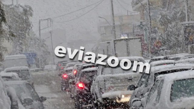 Κακοκαιρία “Ελπίδα”: Πανικός στους δρόμους της Χαλκίδας – Δεκάδες αυτοκίνητα “κολλημένα” στο χιόνι (video)