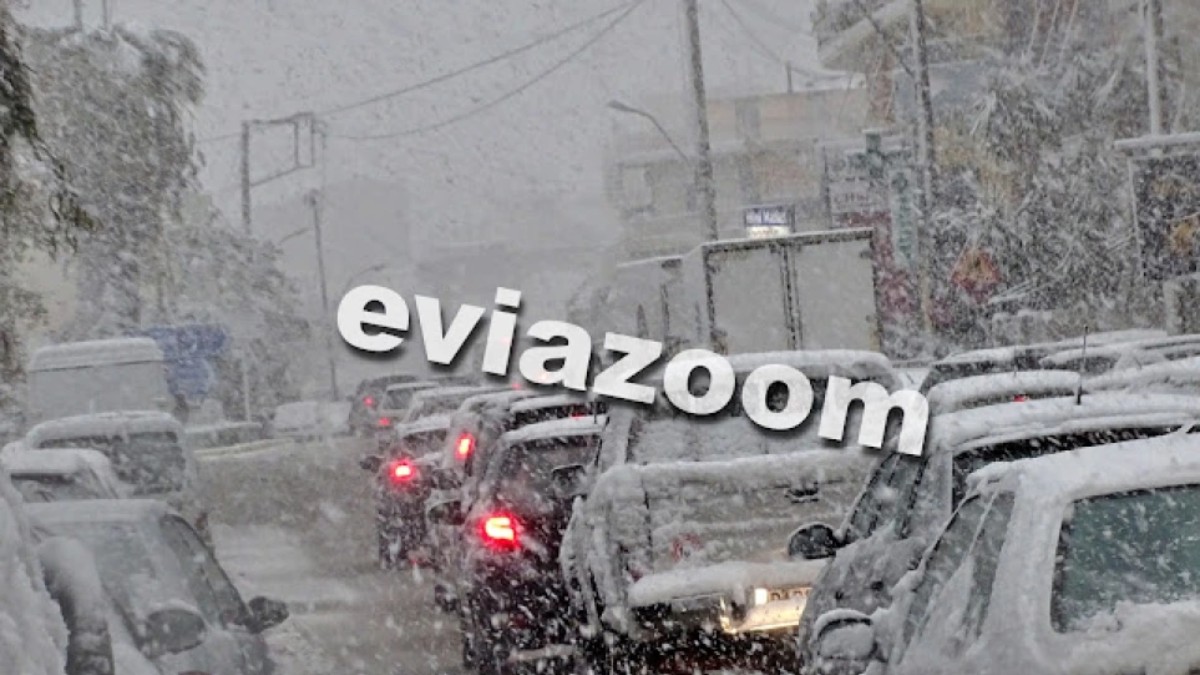 Κακοκαιρία “Ελπίδα”: Πανικός στους δρόμους της Χαλκίδας – Δεκάδες αυτοκίνητα “κολλημένα” στο χιόνι (video)
