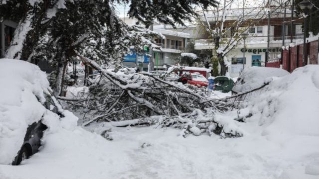 Κακοκαιρία «Ελπίδα»: Συγκλονίζει τραγική ιστορία στην Ανθούσα – «Η γιαγιά μου είναι νεκρή μέσα στο σπίτι της 24 ώρες!» (Video)