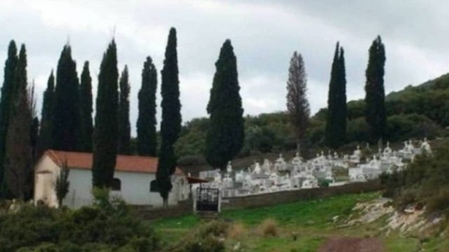 Tο γνώριζες; Γι αυτό το λόγο φυτεύουν κυπαρίσσια στα νεκροταφεία!