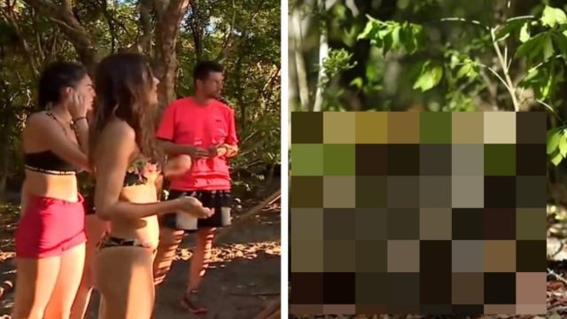 Survivor 5: Ούρλιαζαν οι Διάσημοι στη παραλία – Τι εμφανίστηκε και προκάλεσε πανικό! (photos)