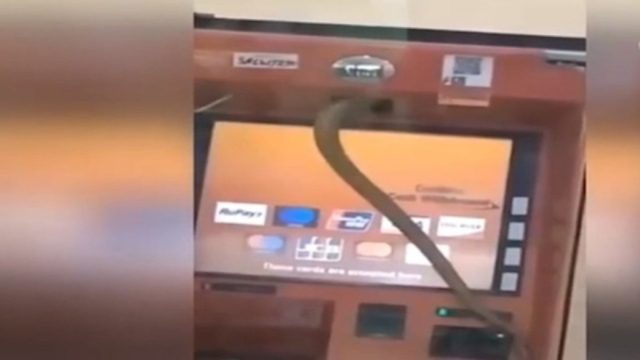 Θρίλερ σε ΑΤΜ: Πήγε να κατεβάσει χρήματα – Πριν πατήσει το κουμπί όμως πάγωσε με αυτό που αντίκρισε! (Video)