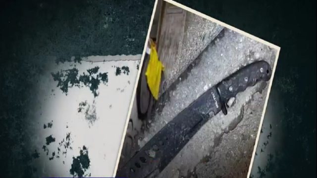 Δολοφονία 19χρονου Άλκη στη Θεσσαλονίκη: Αίματα στο μαχαίρι δείχνουν και δεύτερο δράστη – «Το καθάρισε και το πέταξε» (Video)