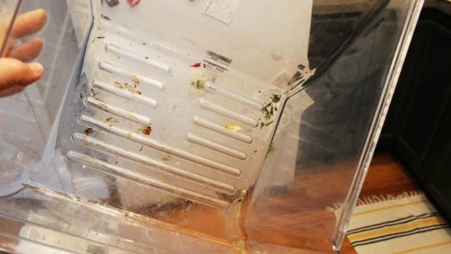 Βρόμικο ψυγείο: Διώξτε τους λεκέδες, τα σημάδια και τις άσχημες μυρωδιές μόνο με 3 υλικά