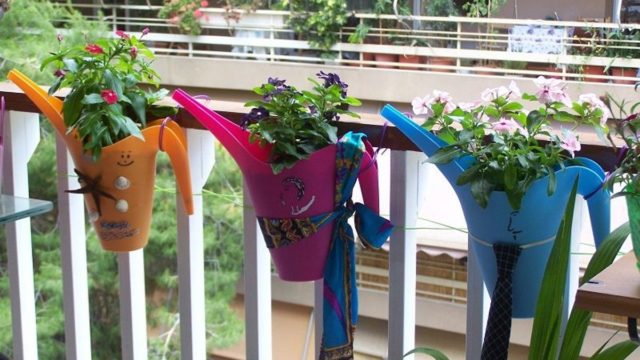 Φυτά: Τα μυστικά της μεταφύτευσης για ένα μπαλκόνι γεμάτο πράσινο