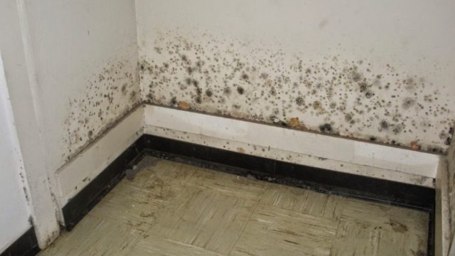 Δύο σημαντικές συμβουλές για να μην πιάνει μούχλα η ντουλάπα σας