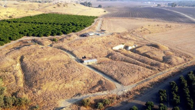 Ερευνητές ανακάλυψαν ανθρώπινο οστό ηλικίας 1,5 εκατ. ετών