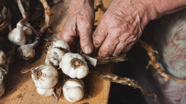 Αυτός είναι ο δαιμόνιος τρόπος για να φύγει η σκορδίλα από τα χέρια